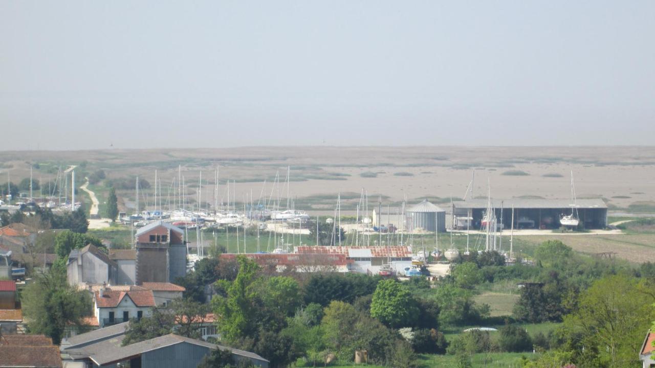 Grande Maison Charentaise Avec Vue Sur Le Chenal Superbes Couches De Soleil Sur L Estuaire De La Gironde! Mortagne-sur-Gironde Exterior foto